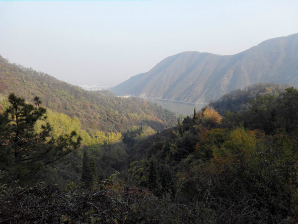 IMG_20161113_091636_副本 IMG_20161113_091636_副本