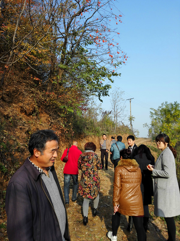 IMG_20161113_092443_副本 IMG_20161113_092443_副本