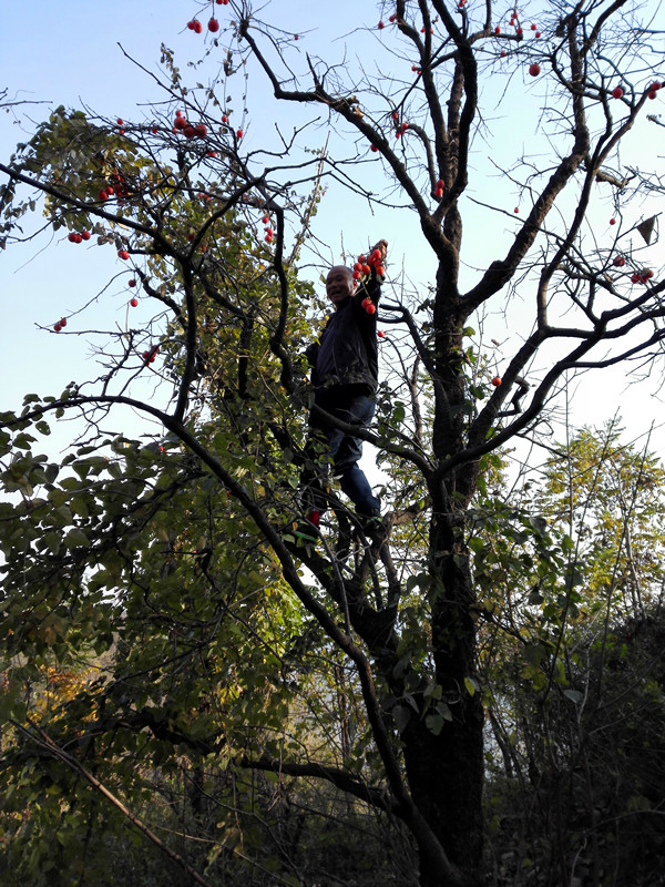 IMG_20161113_093536_副本 IMG_20161113_093536_副本