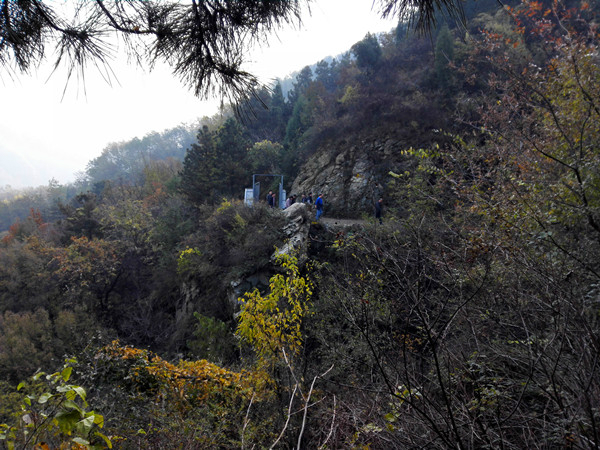 IMG_20161113_092044_副本 IMG_20161113_092044_副本