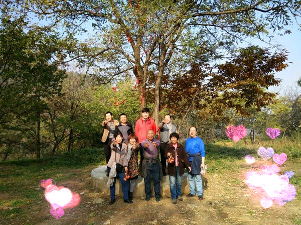 384890fdd39714c7_副本 384890fdd39714c7_副本