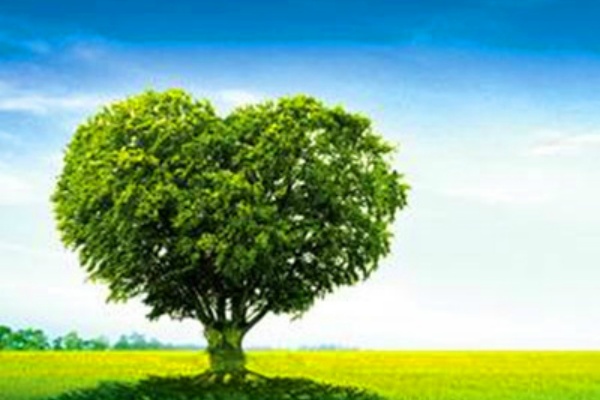 chenha6962011121910511858159_fuben chenha6962011121910511858159_fuben